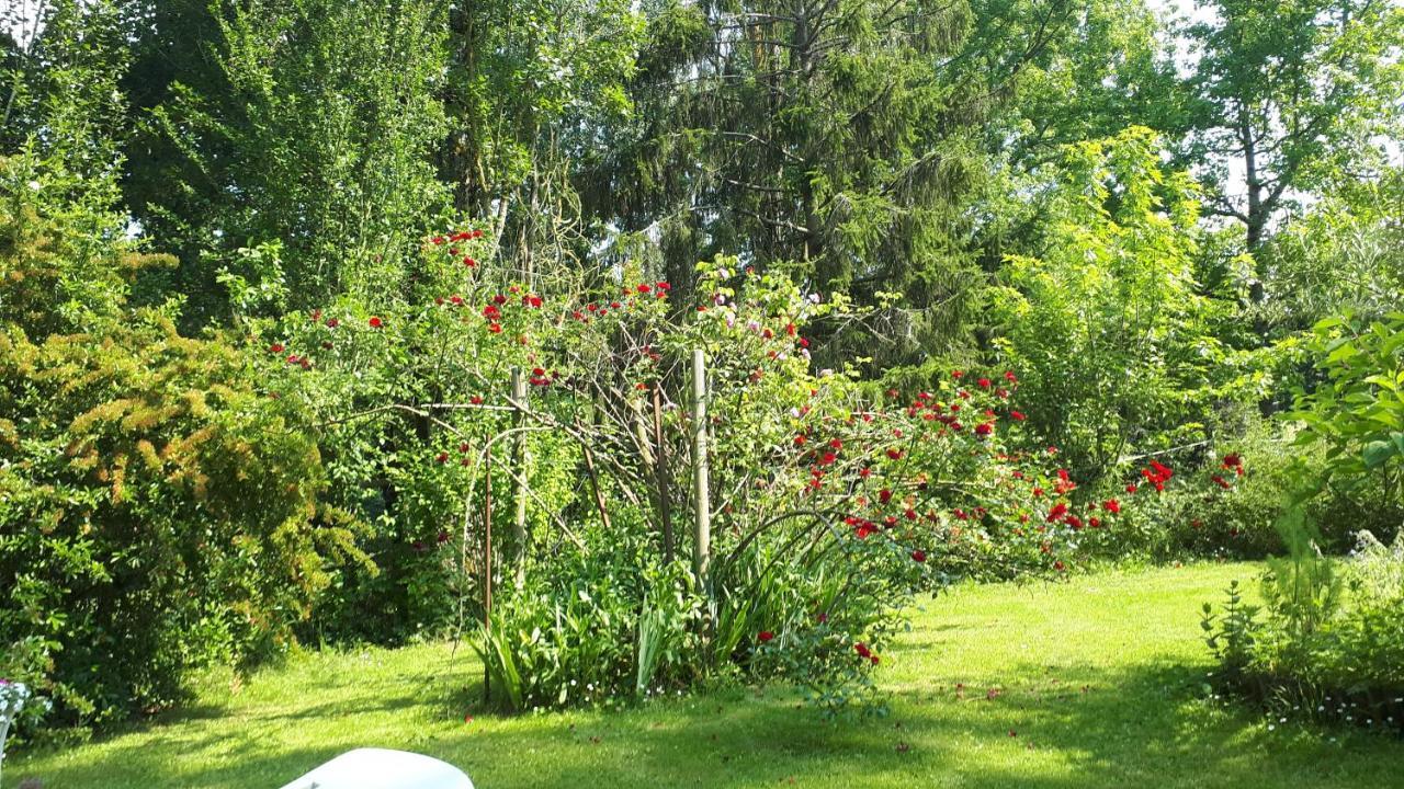 Asinus 32 Bed & Breakfast Viozan Eksteriør bilde