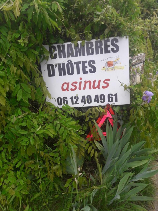 Asinus 32 Bed & Breakfast Viozan Eksteriør bilde