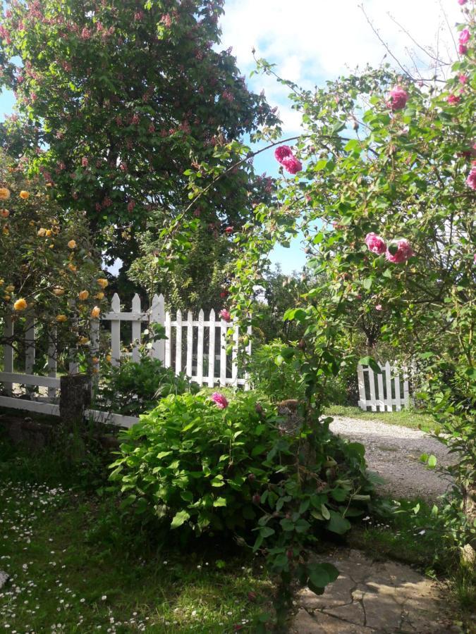 Asinus 32 Bed & Breakfast Viozan Eksteriør bilde